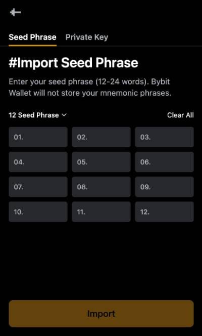 How to recover crypto wallet: seed phrase submission.