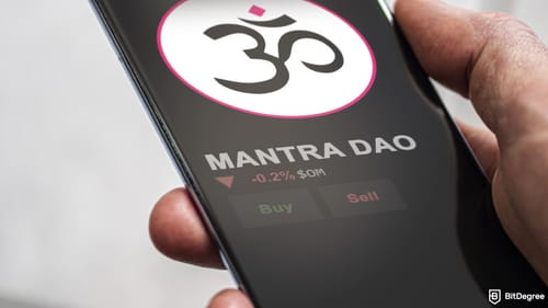 The OM crash plot thickens...